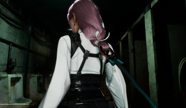 《劍星》月城柳服裝與發型套裝MOD