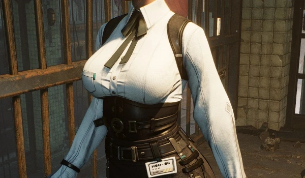 《劍星》月城柳服裝與發型套裝MOD