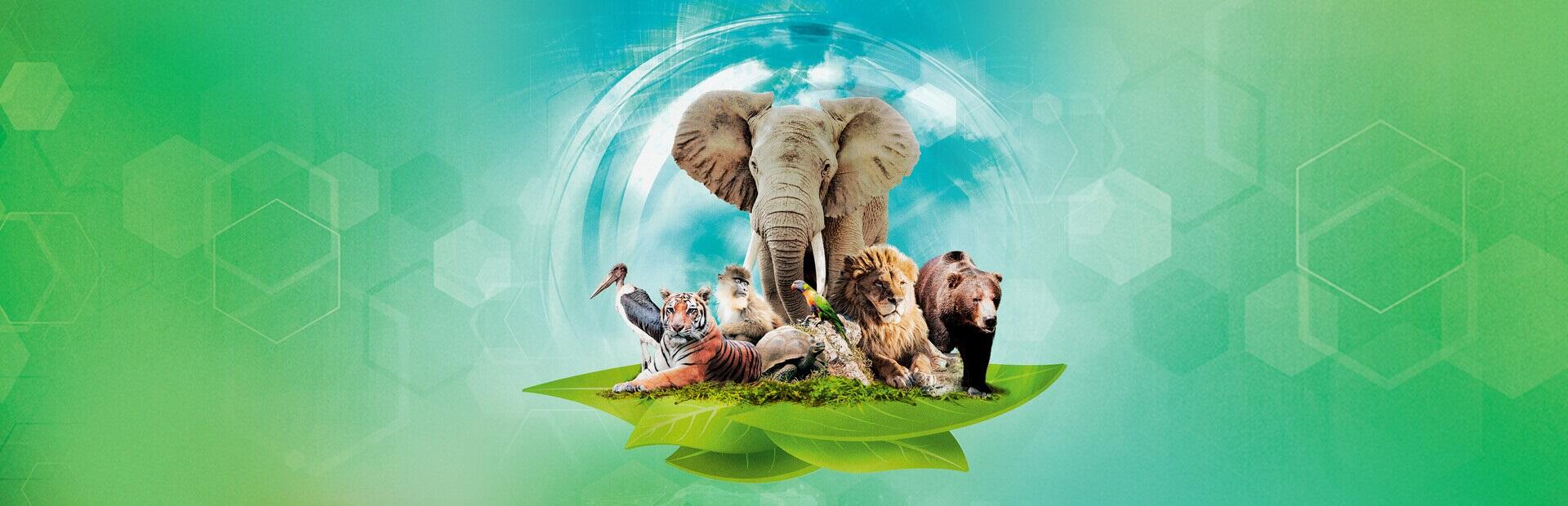 方舟動物園