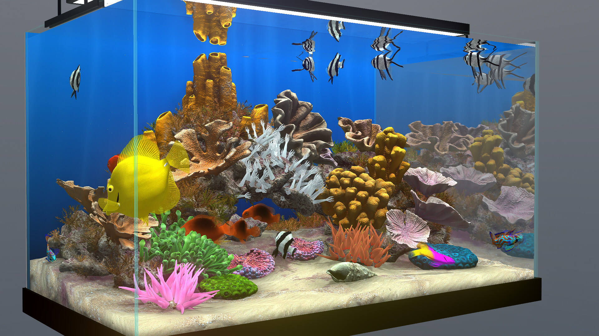 玻璃背后：水族箱模擬器壁紙