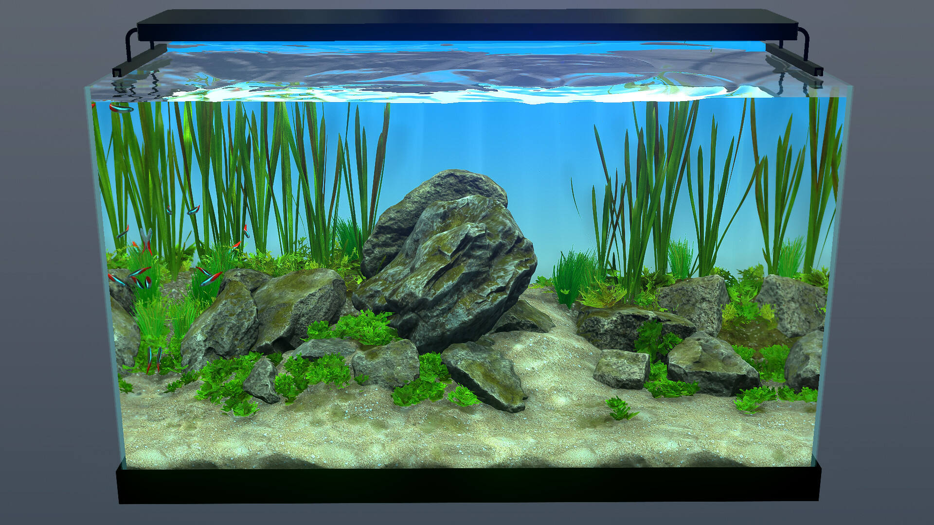 玻璃背后:水族箱模擬器下載
