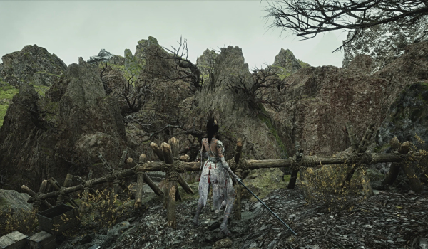 《明末：淵虛之羽》移除霧氣效果MOD