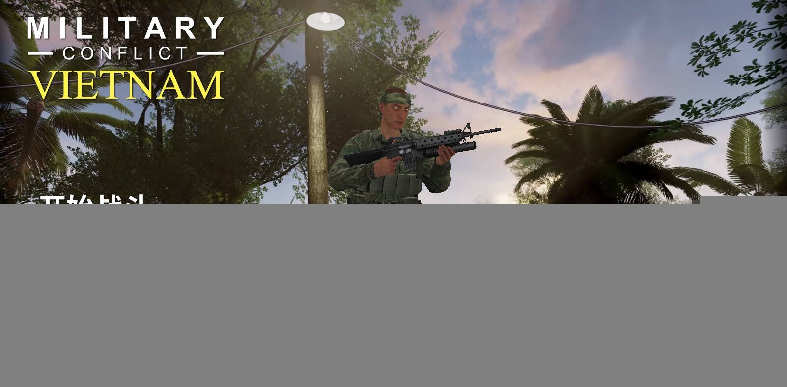 軍事沖突：越南