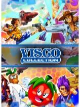 VISCO合集下載
