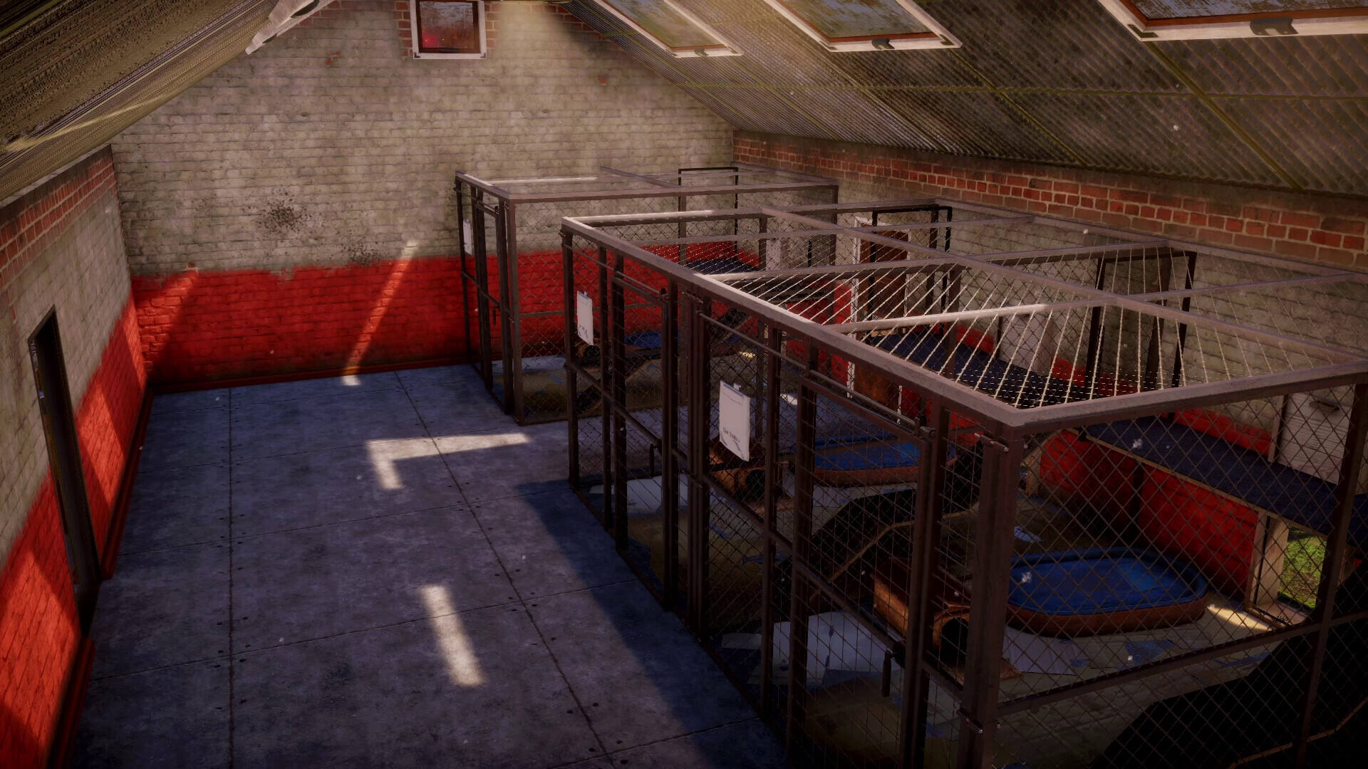 動物收容所2壁紙