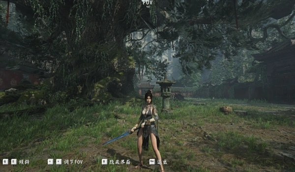 《明末:淵虛之羽》優化版拍照模式MOD