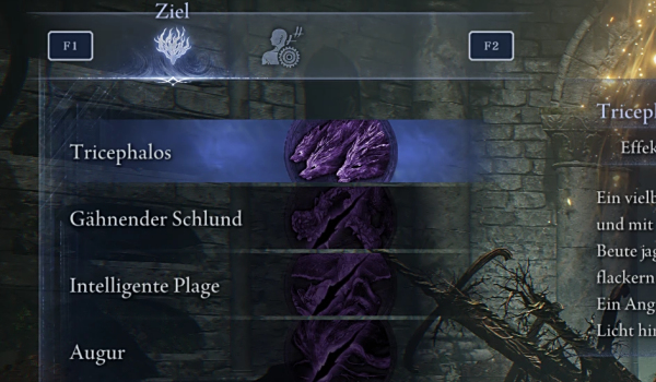 《艾爾登法環(huán) 黑夜君臨》永夜規(guī)則解鎖MOD