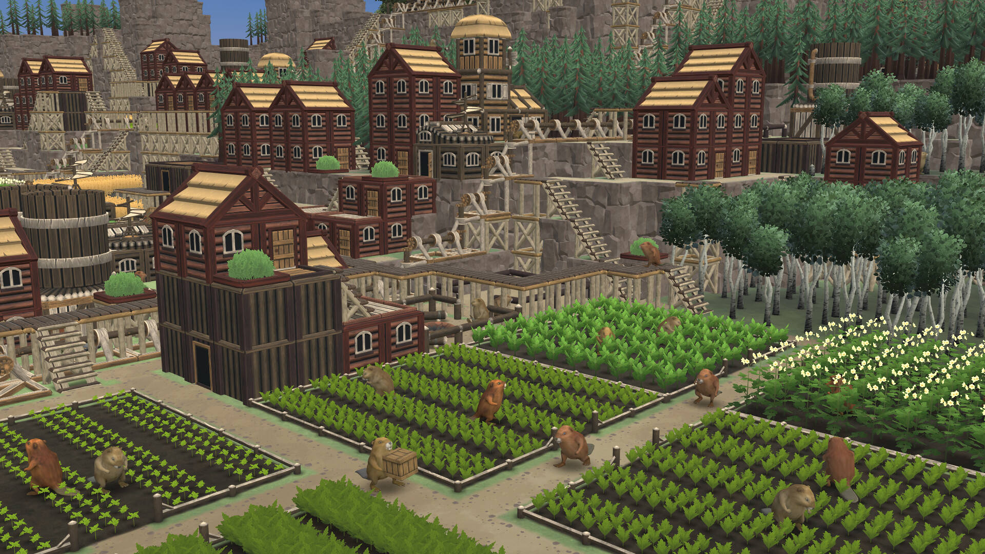 海貍浮生記壁紙