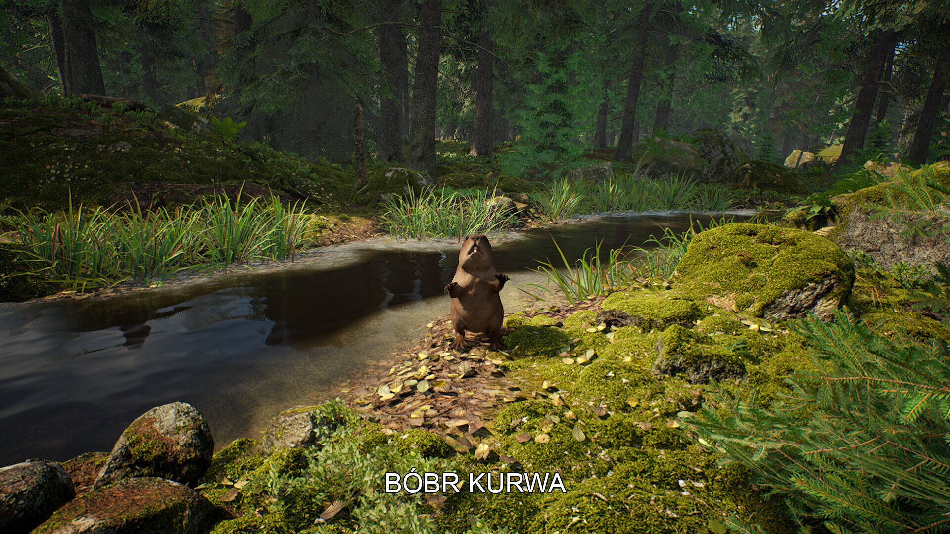 采蘑菇模擬器壁紙