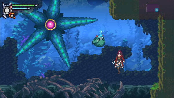 托紫婭之夜：煉金術(shù)士之令壁紙