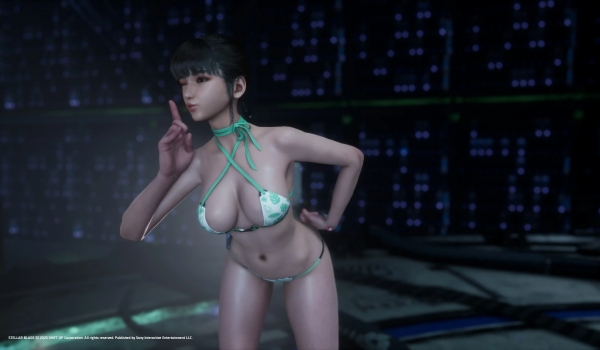 《劍星》夏日天堂比基尼MOD