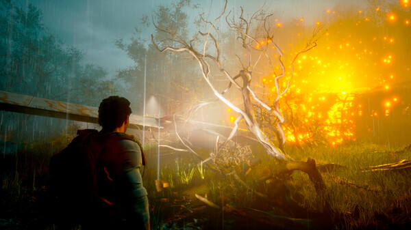 波韋利亞：不歸之島壁紙