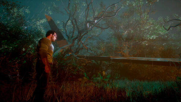 波韋利亞：不歸之島壁紙