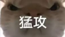 《逃離鴨科夫》常見的作弊功能MOD