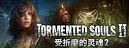 受折磨的靈魂2下載