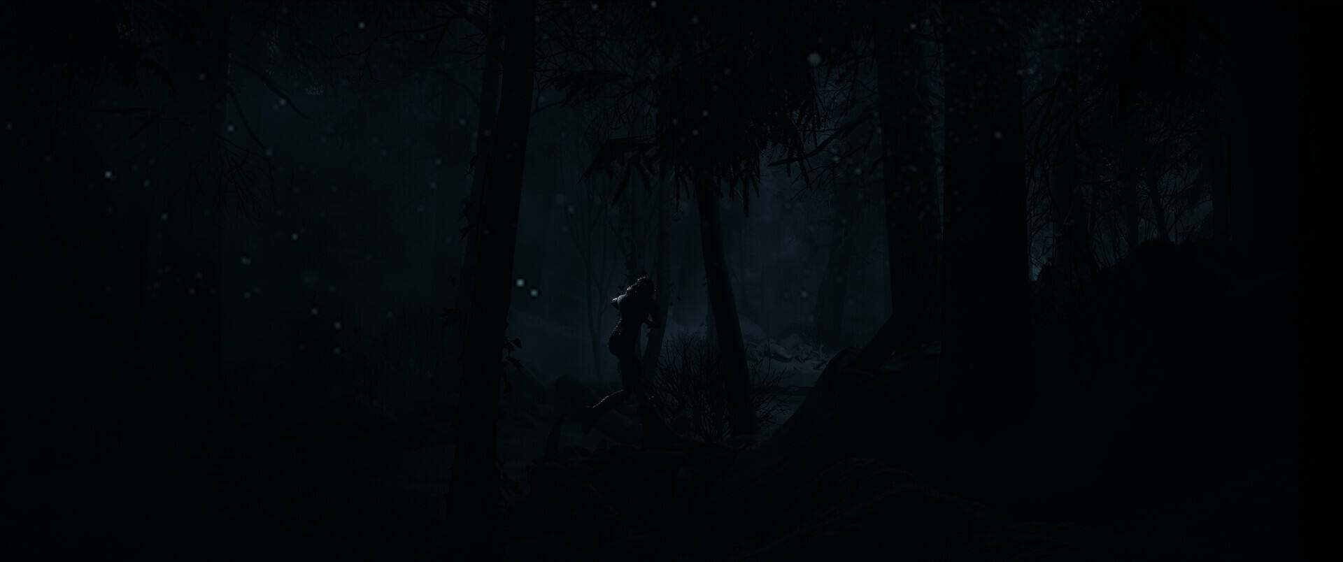 直到黎明：重制版壁紙