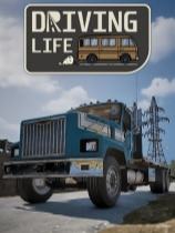 駕駛人生下載