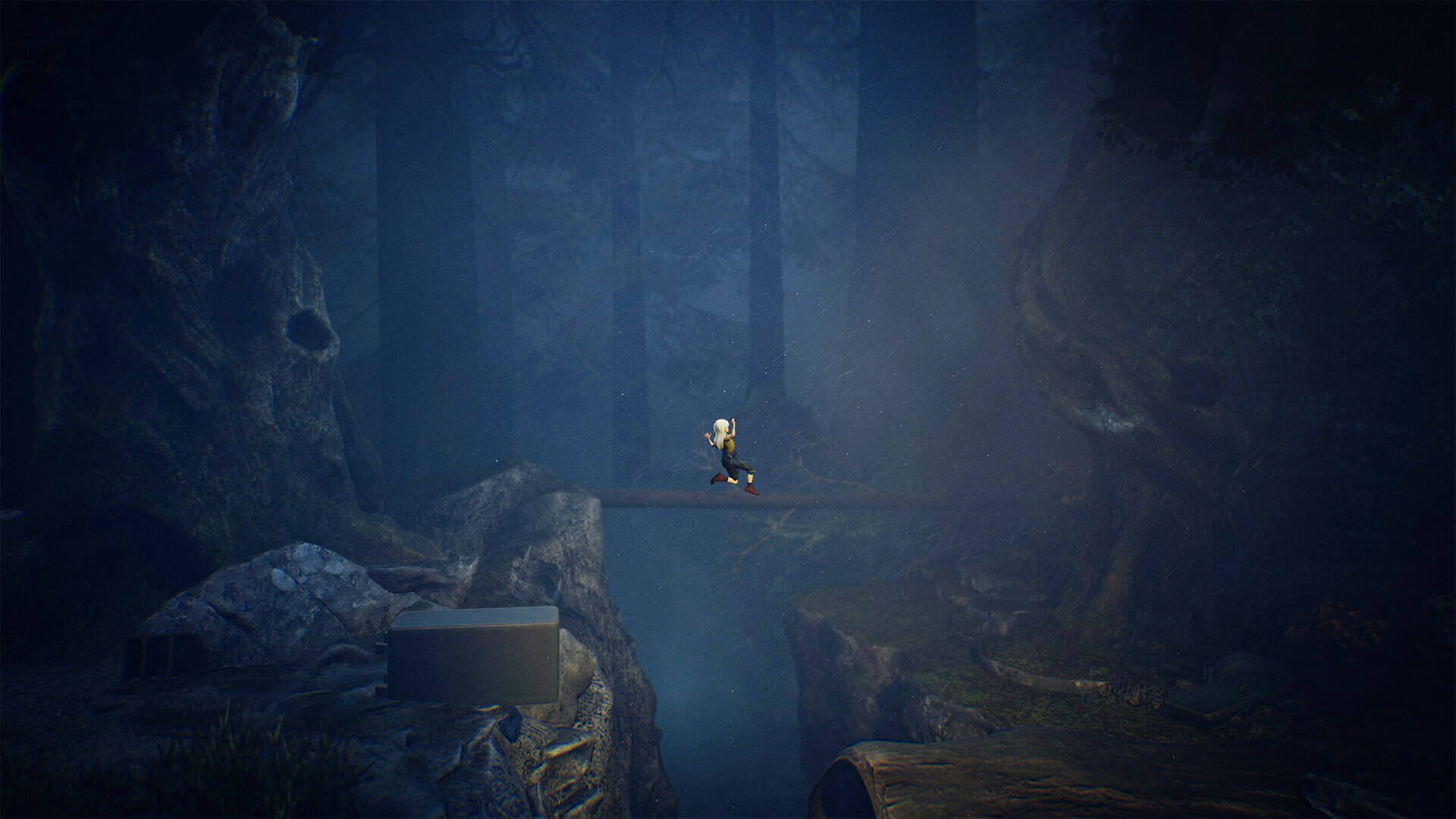 寂静之国的波斯菊壁纸