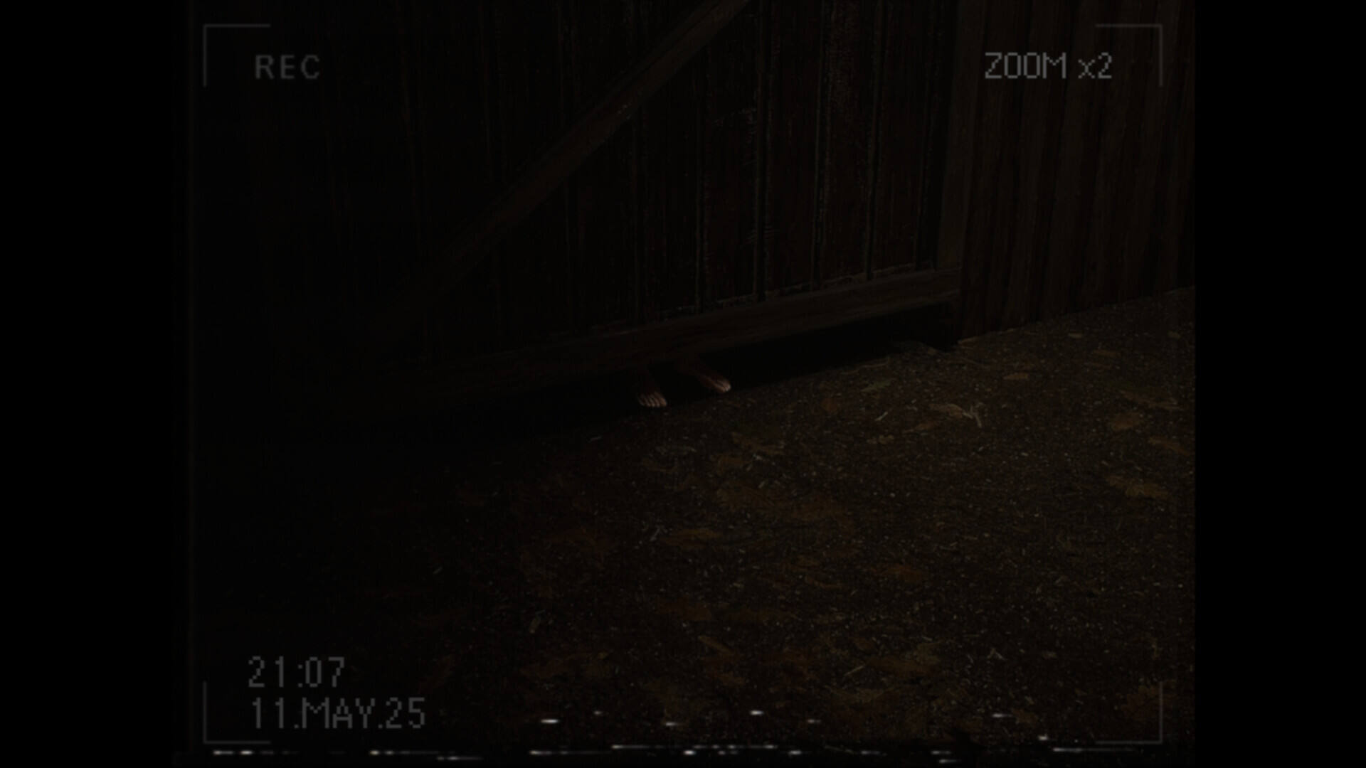 莉莉发生了什么？壁纸