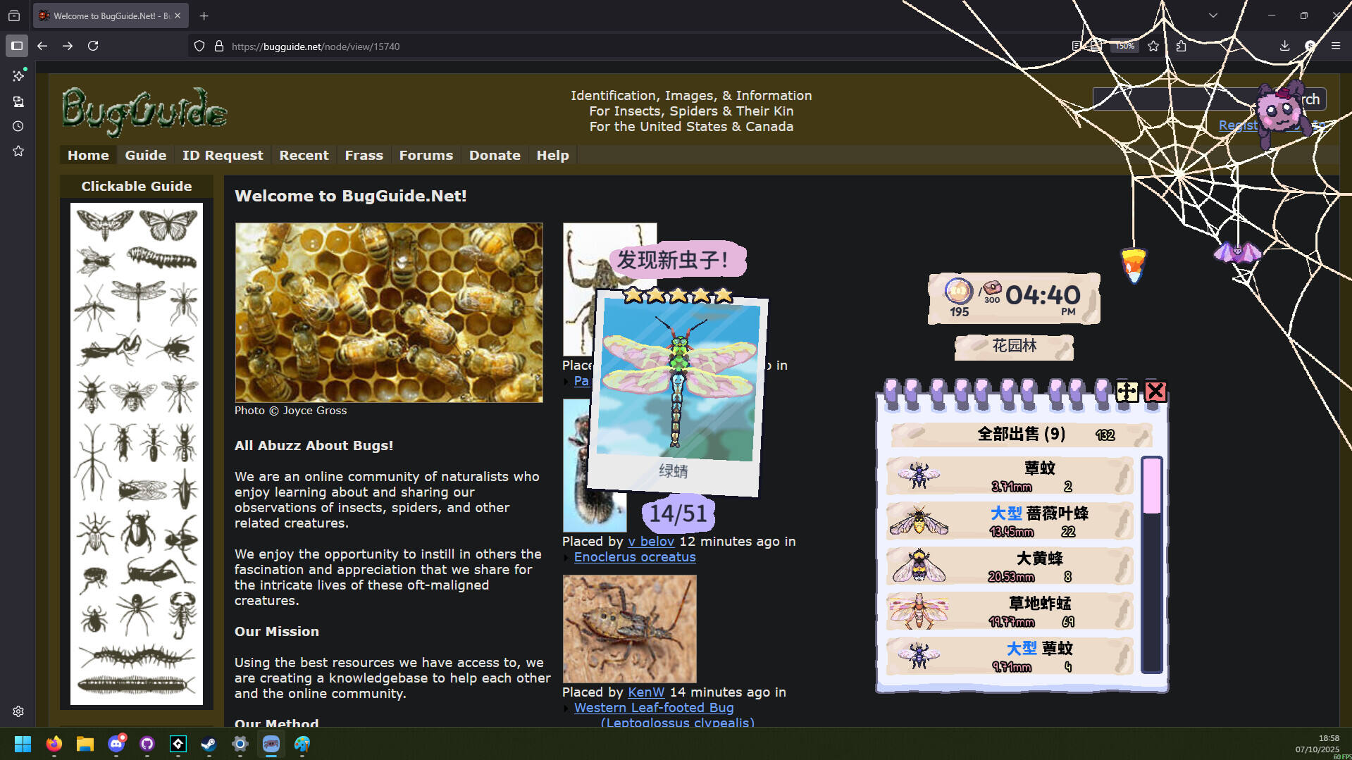 我的小小蜘蛛壁纸