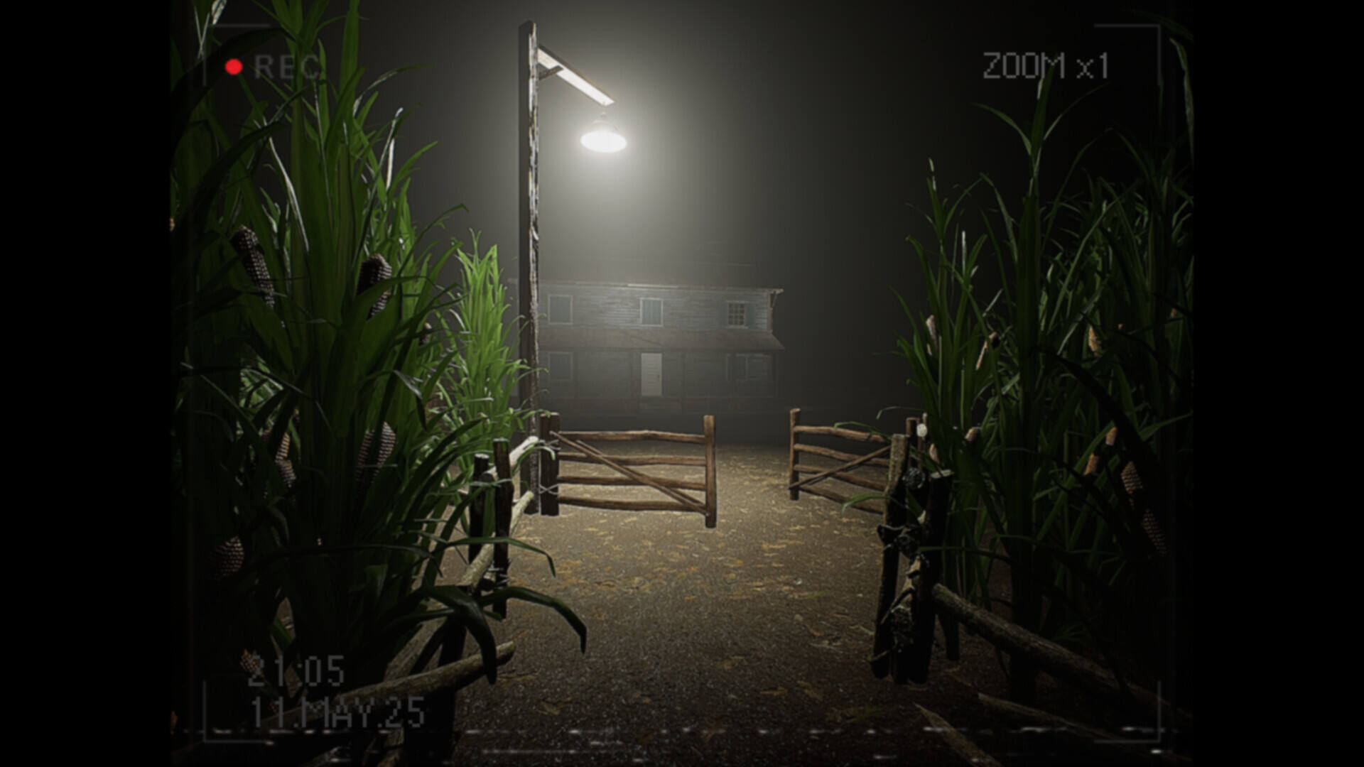 莉莉发生了什么？壁纸