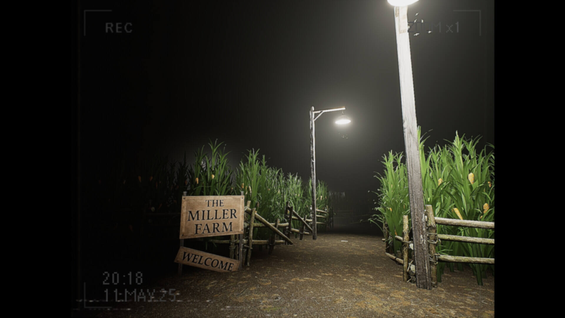 莉莉发生了什么？壁纸