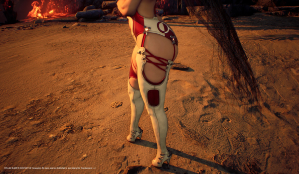 《剑星》丰盈赛博与自主拘束装MOD