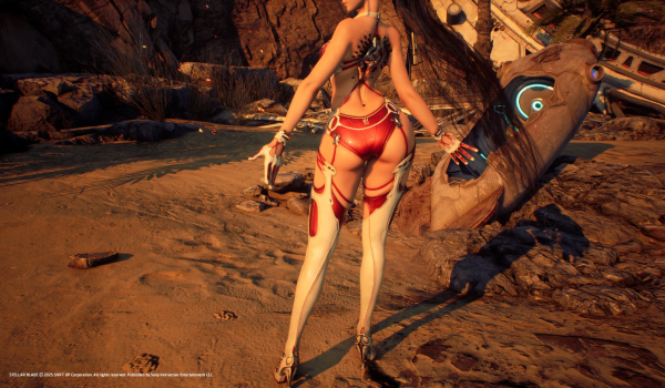 《剑星》丰盈赛博与自主拘束装MOD