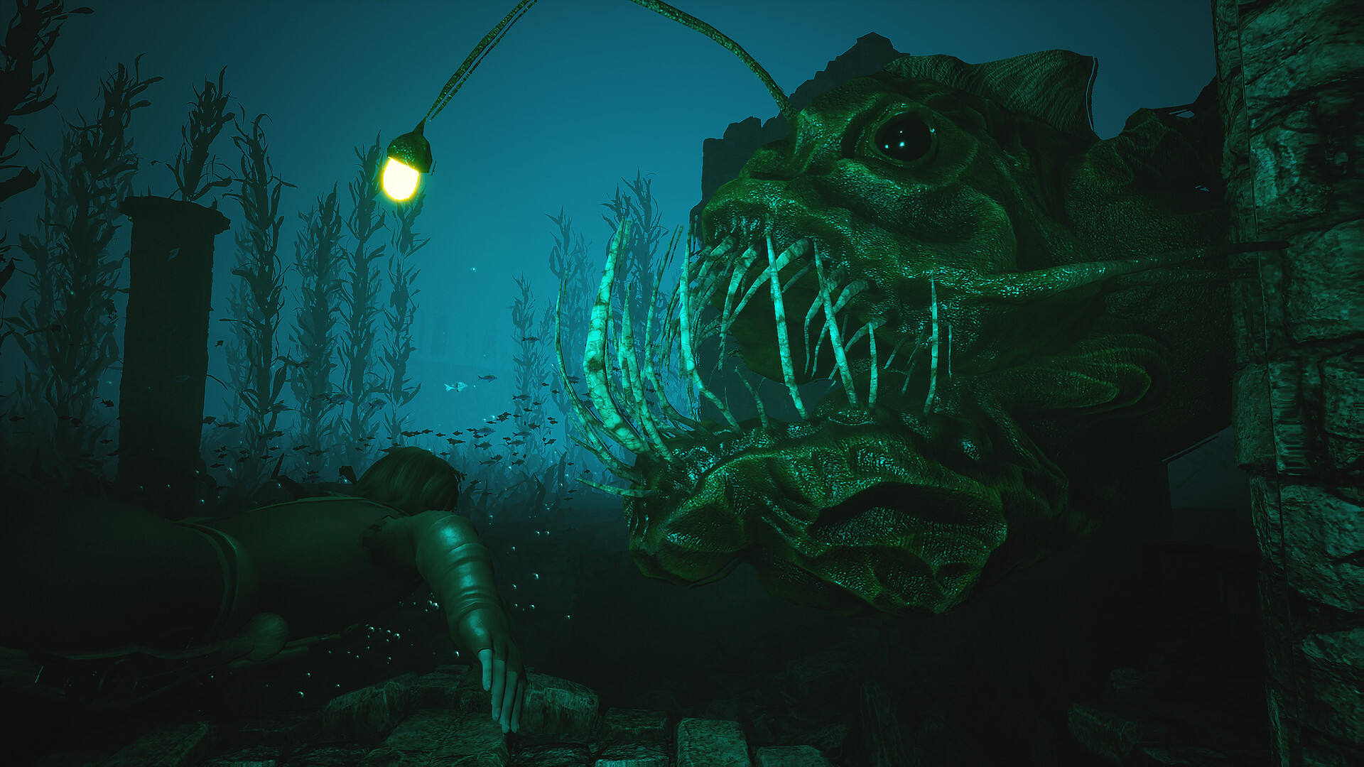 諾托里阿之書壁紙