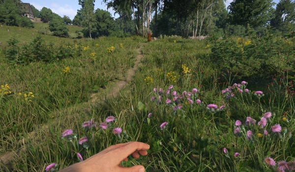 《天国:拯救2》第一人称采集草药MOD