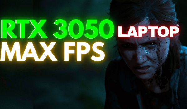 《最后生還者2重制版》RTX 3050筆記本電腦設置MOD