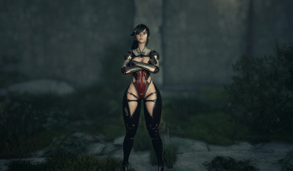 《剑星》皇家护卫套装厚重重塑版MOD