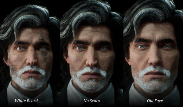 《光与影：33号远征队》维索白色胡须MOD