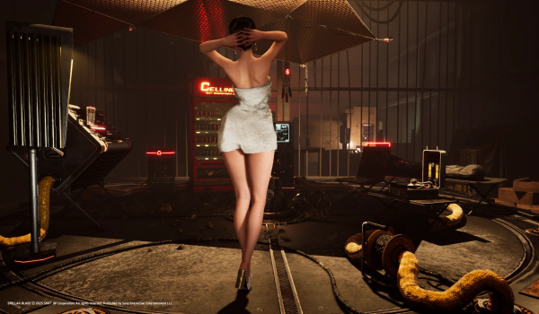 《剑星》浴巾CNS版MOD