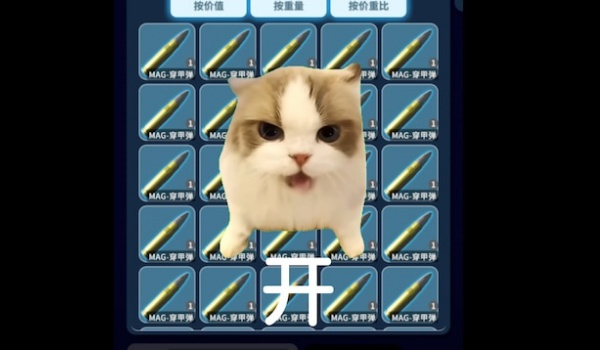 《逃離鴨科夫》簡單拆分MOD