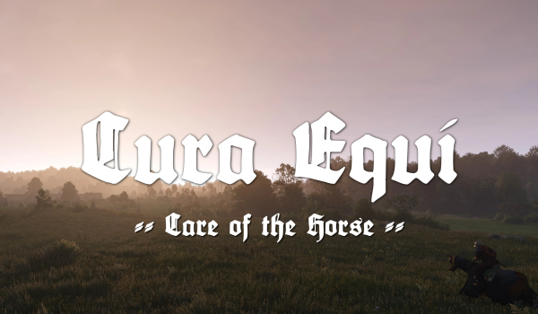 《天国：拯救2》马匹照料马医护理MOD