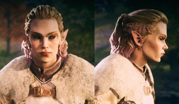 《上古卷轴5：天际重制版》自然木精灵角色预设MOD