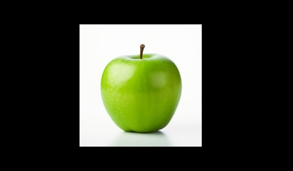 《逃離鴨科夫》蘋果自定義物品框架MOD