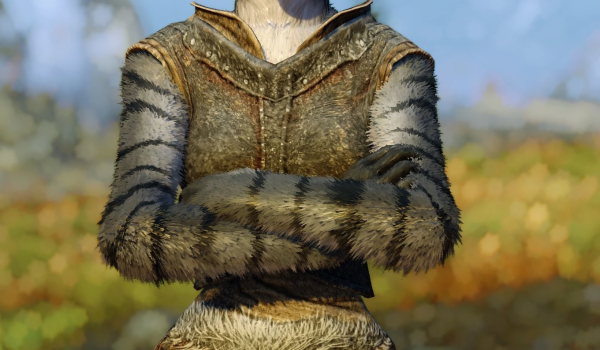 《上古卷轴5:天际重制版》动态毛发变形MOD