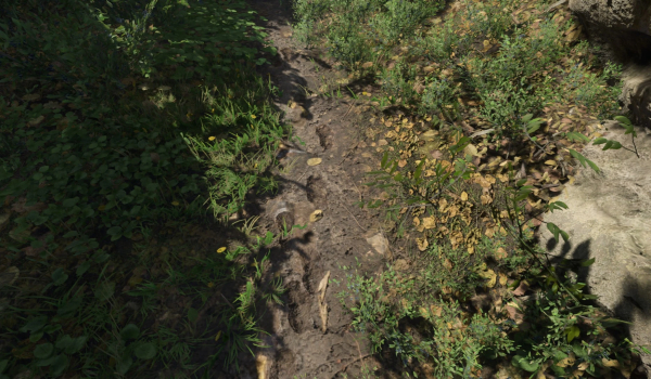 《天国：拯救2》真实足迹MOD