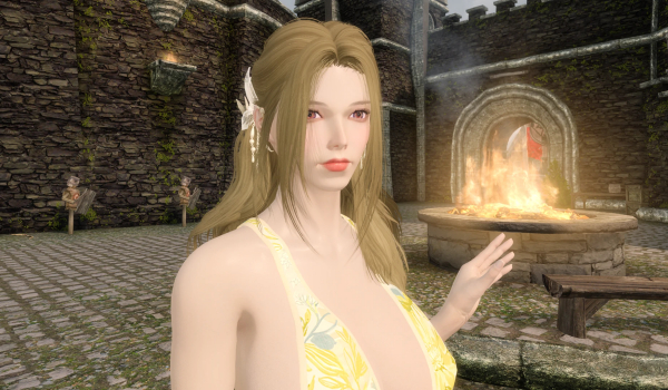 《上古卷轴5:天际重制版》随从米尔3BA高多边形物理发型MOD