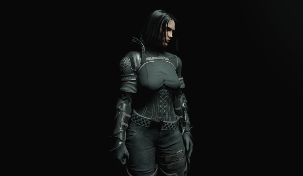 《上古卷轴5：天际重制版》圣堂刺客护甲MOD