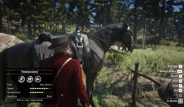 《荒野大镖客2》开局解锁全部物品与完整地图存档文件