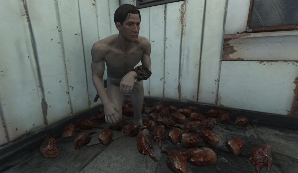 《辐射4》真实螫针蝇毒刺MOD