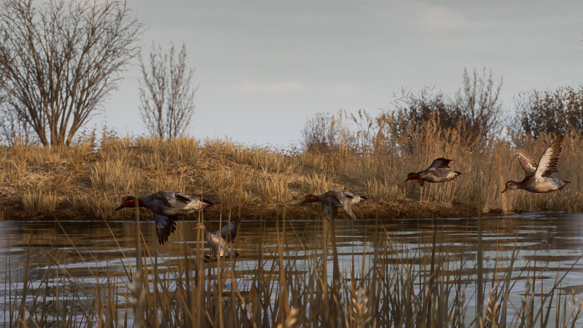 BULT：狩猎模拟器截图