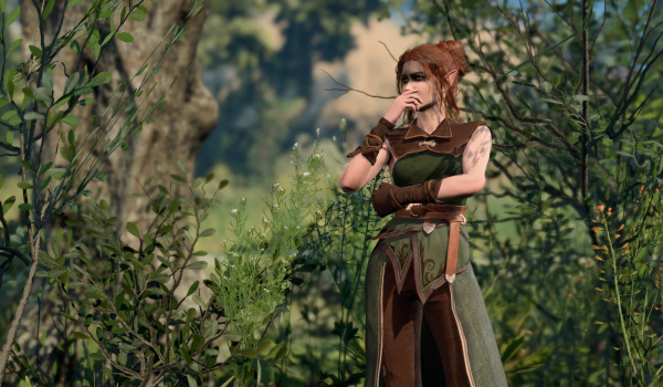 《博德之门3》林间衣橱MOD