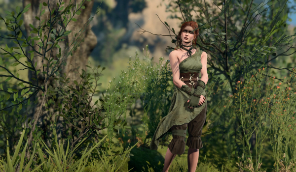 《博德之门3》林间衣橱MOD