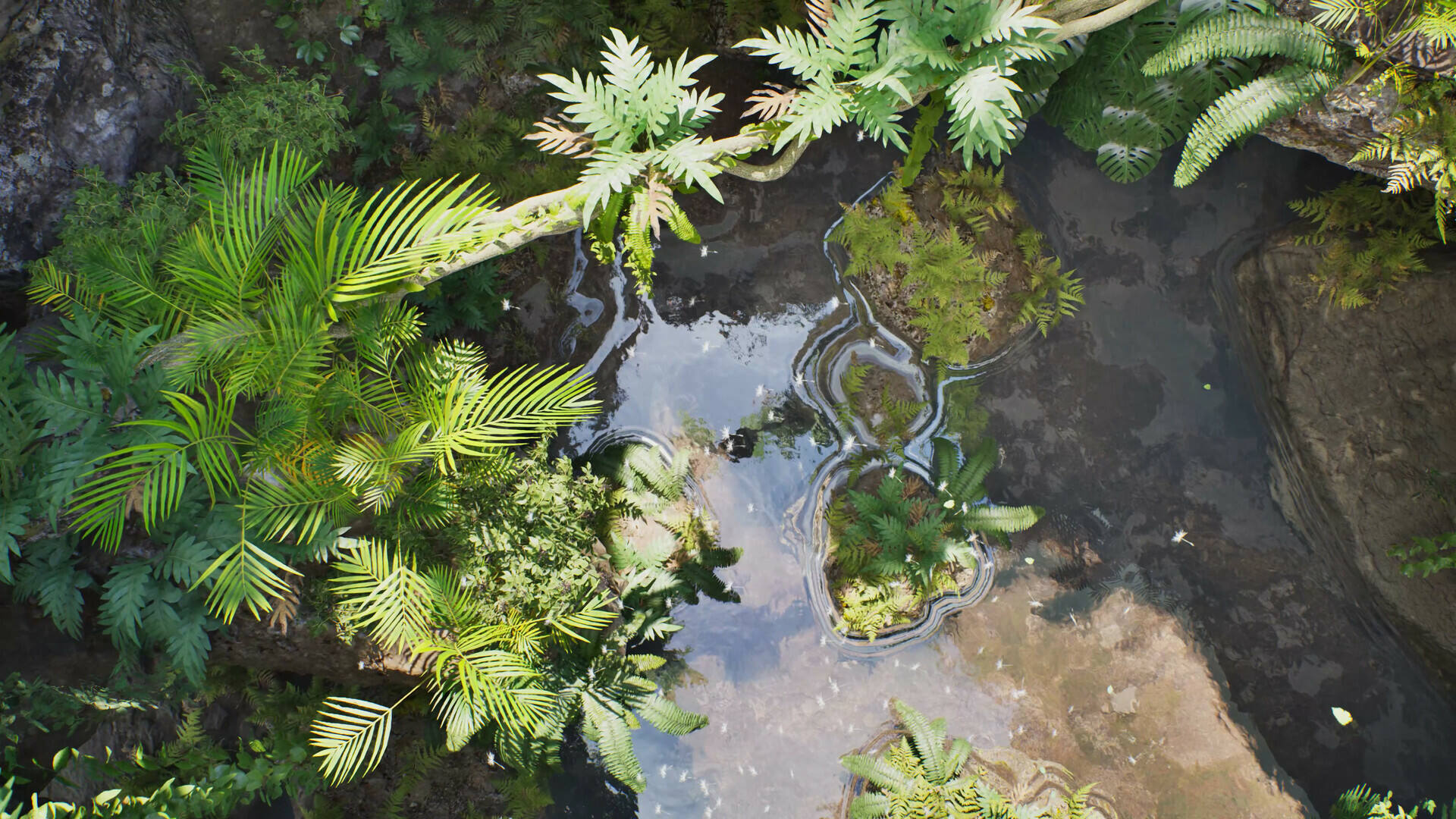 穿越亡灵之旅壁纸