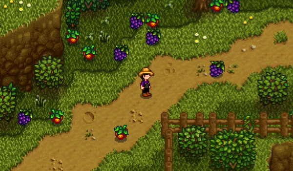 《星露谷物语》采集更多物品MOD