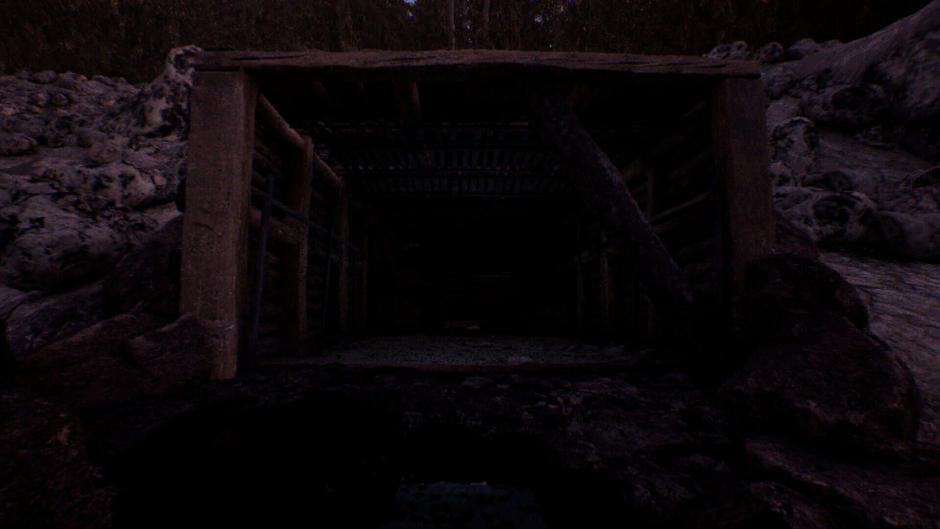 守望森林：虱影壁纸